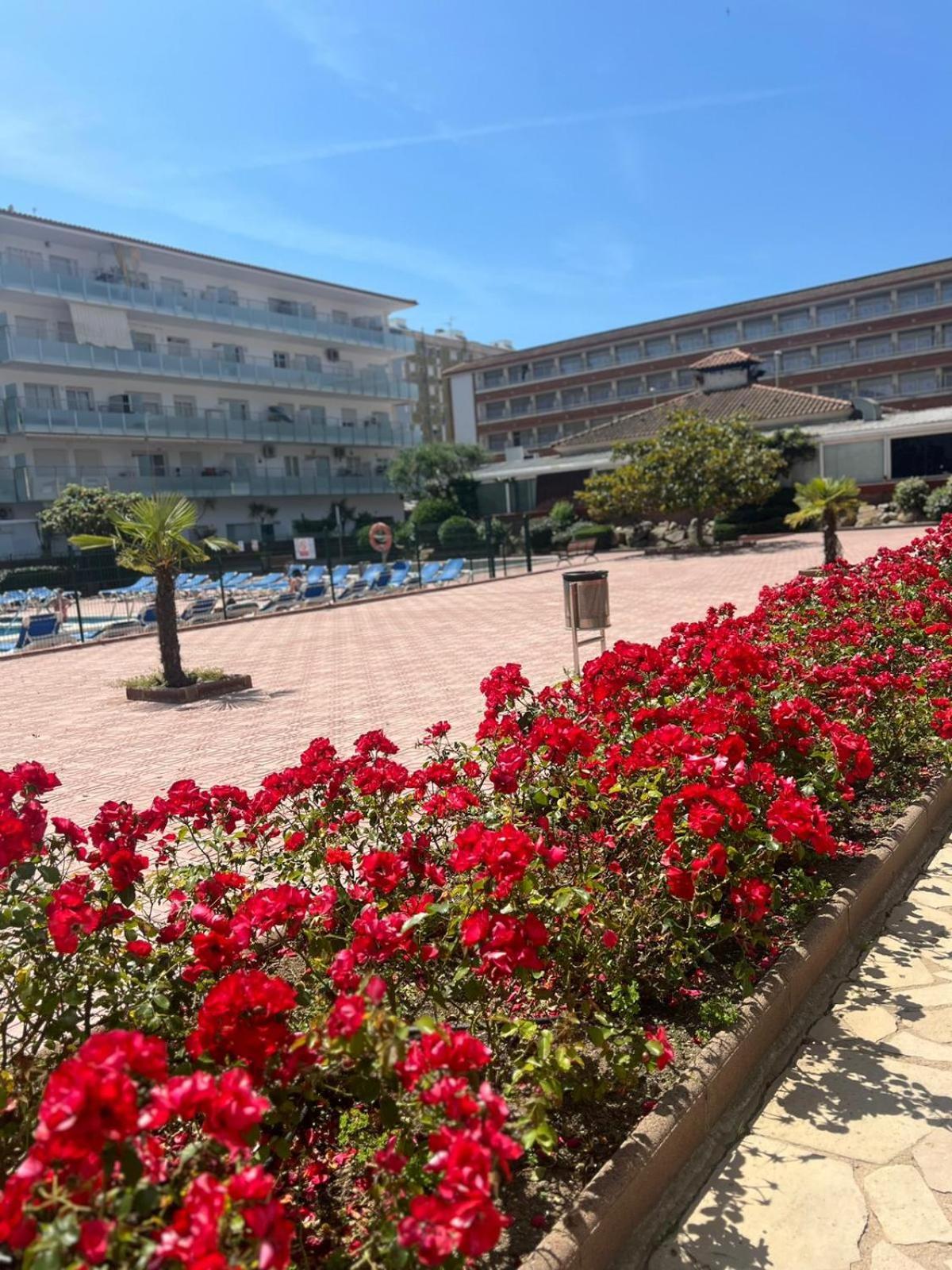 Apcostas Els Pins Lotus Blanes Exterior foto